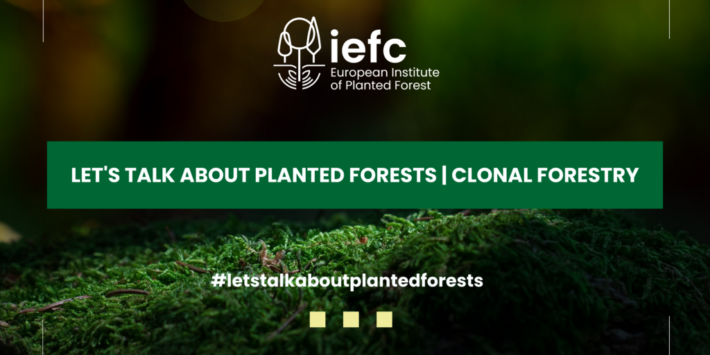 IEFC webinar replay - let's talk about planted forests - Clonal Forestry