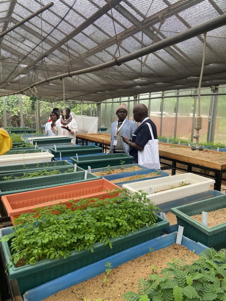 Kenya Forestry Research Institute - ICPF 2023 - Field Visit