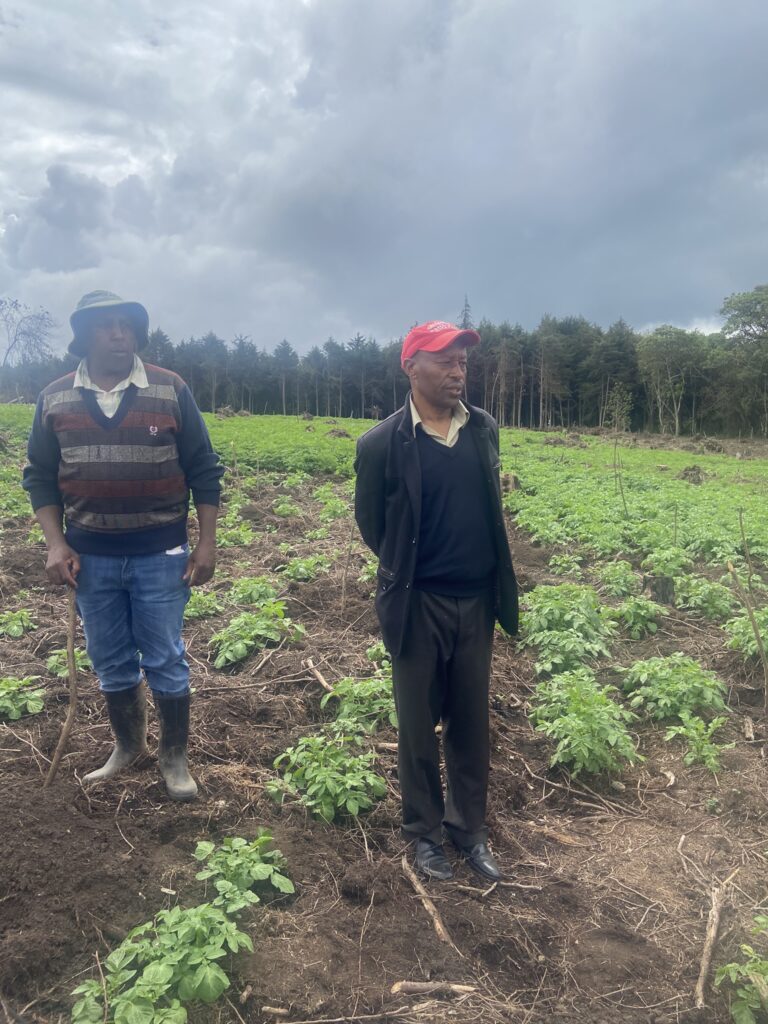 ICPF 2023 - Potato field - Nairobi, KENYA